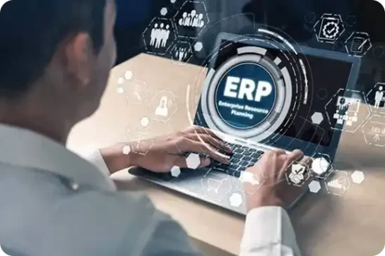 Enterprise Software Solutions